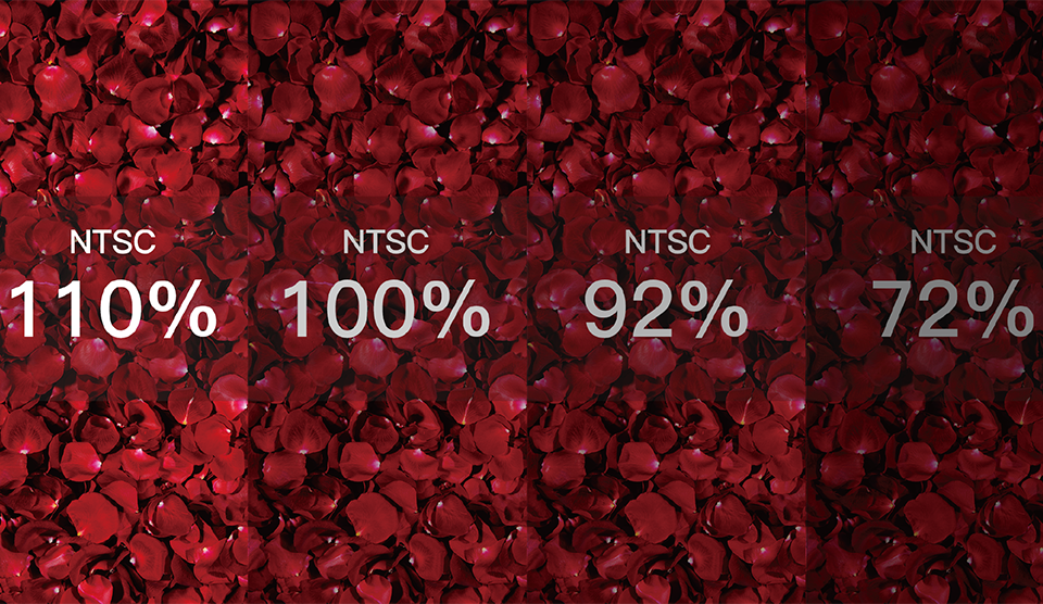 110%NTSC